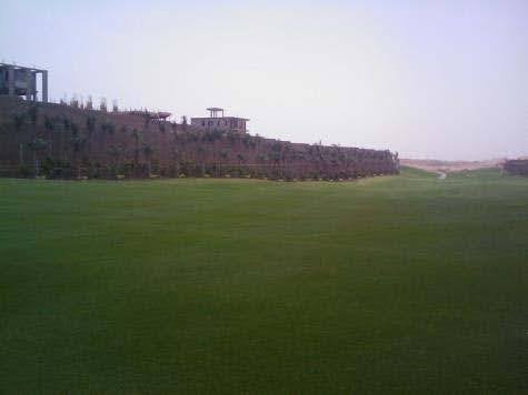 Allegria, Zayed City